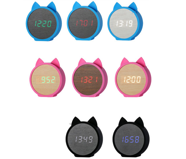 FV-CK011